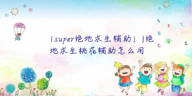 「super绝地求生辅助」|绝地求生桃花辅助怎么用